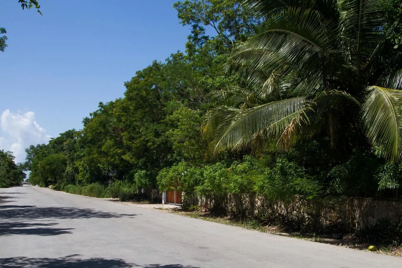 Villa Flor De Mayo Tulum 3*,