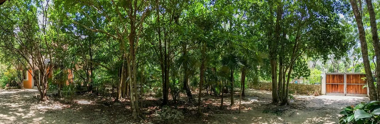Villa Flor De Mayo Tulum